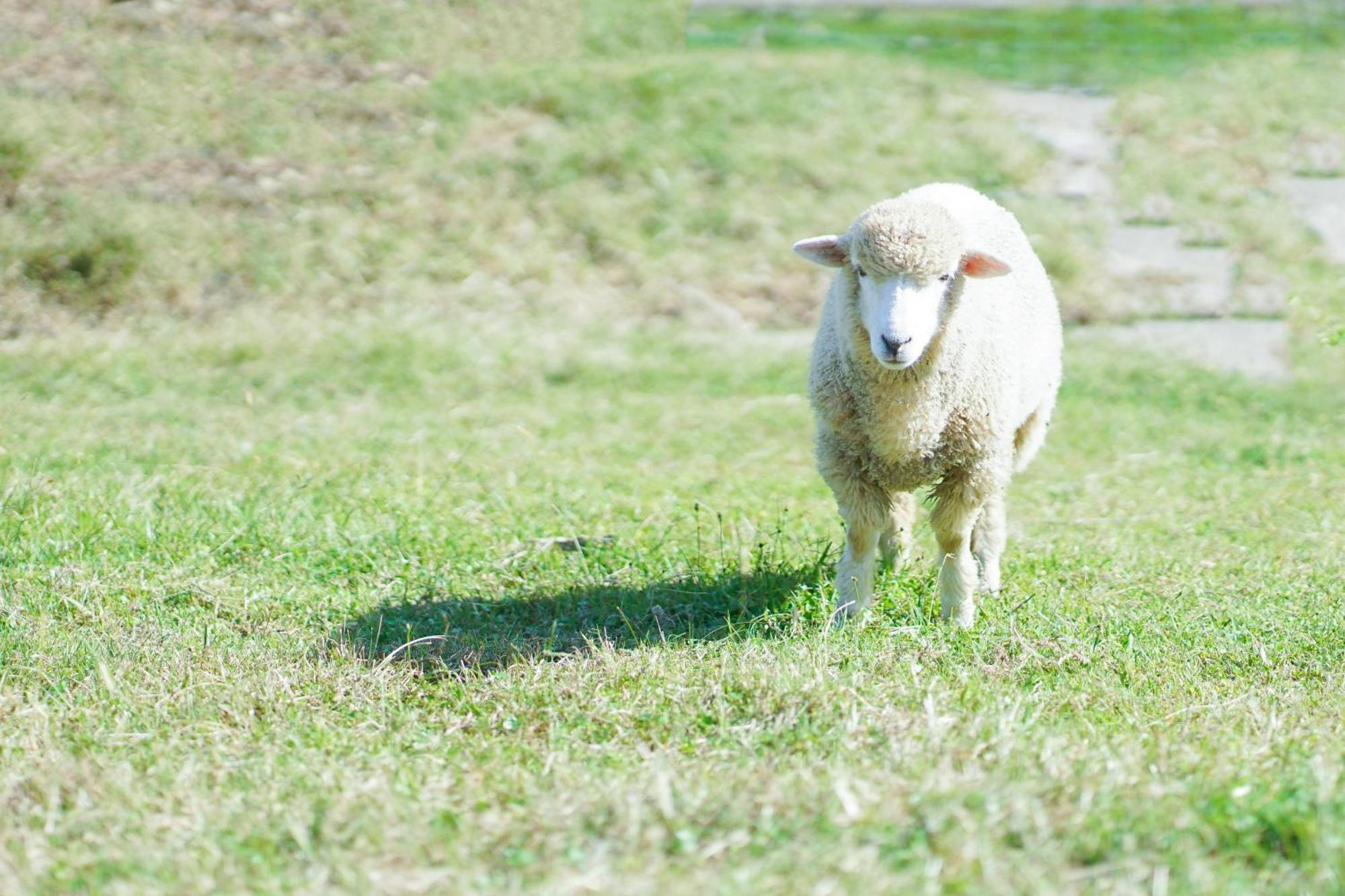 舞鶴ふるるファームコテージ Maizuru Dış mekan fotoğraf