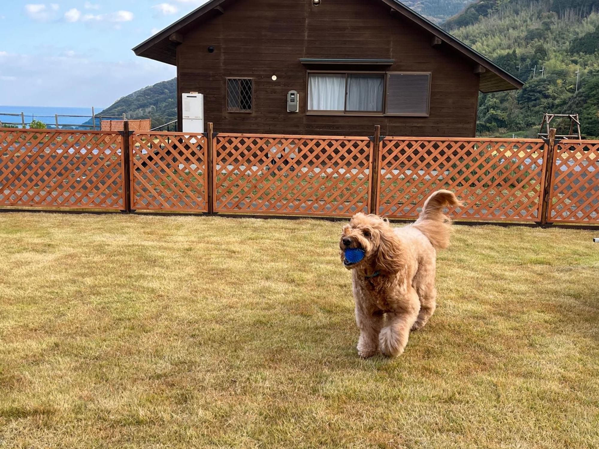 舞鶴ふるるファームコテージ Maizuru Dış mekan fotoğraf