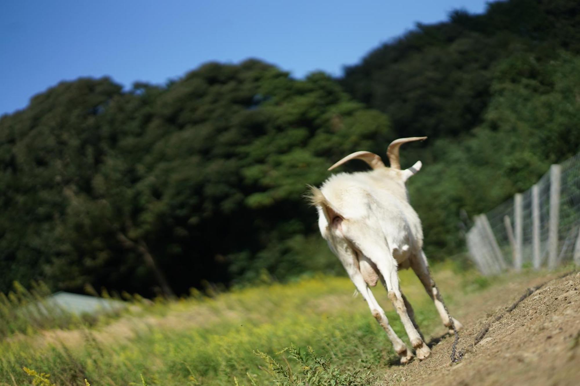 舞鶴ふるるファームコテージ Maizuru Dış mekan fotoğraf