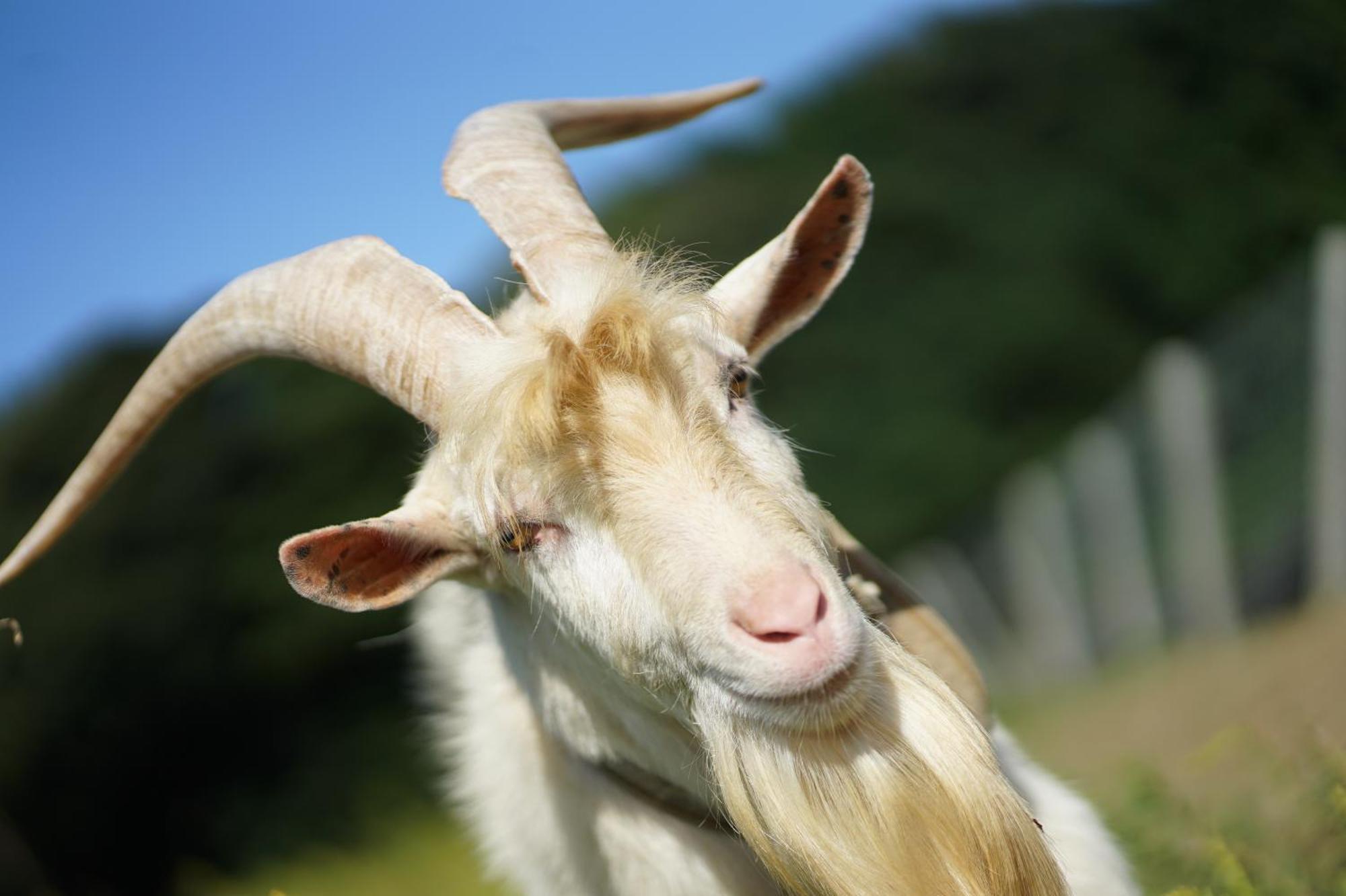 舞鶴ふるるファームコテージ Maizuru Dış mekan fotoğraf