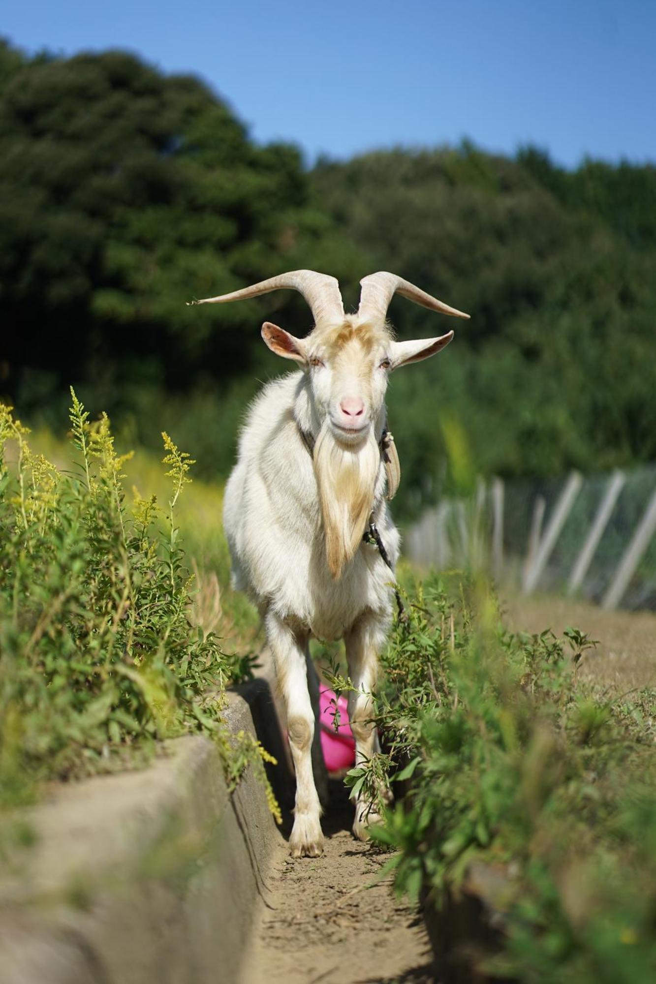 舞鶴ふるるファームコテージ Maizuru Dış mekan fotoğraf