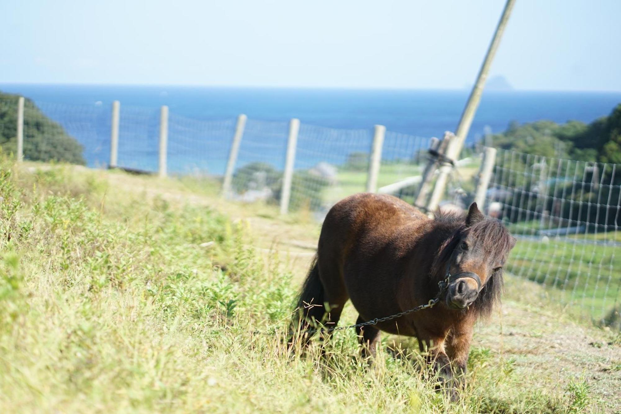 舞鶴ふるるファームコテージ Maizuru Dış mekan fotoğraf